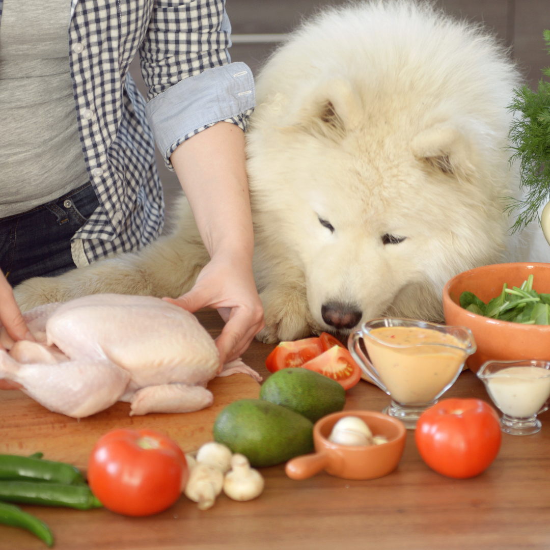 Un chien renifle ce que son humain est en train de cuisiner. Des légumes et de la viande sont sur la table pour préparer de délicieuses friandises pour chien.