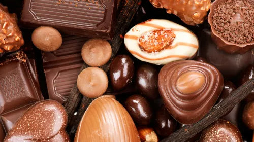 Calculateur toxicité chocolat chien : évaluer le risque en cas d’intoxication