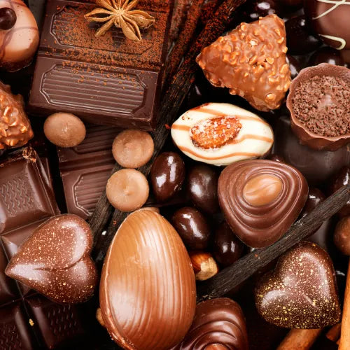 Calculateur toxicité chocolat chien : évaluer le risque en cas d’intoxication