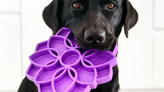 Gamelle anti-glouton permettant de ralentir la prise de nourriture du chien et de stimuler le chien en lui offrant une dépense mentale.