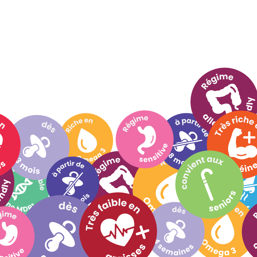 pastilles de couleur pour chiens