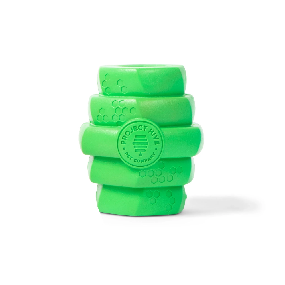 jouet pour chien hive chew scent toy vert
