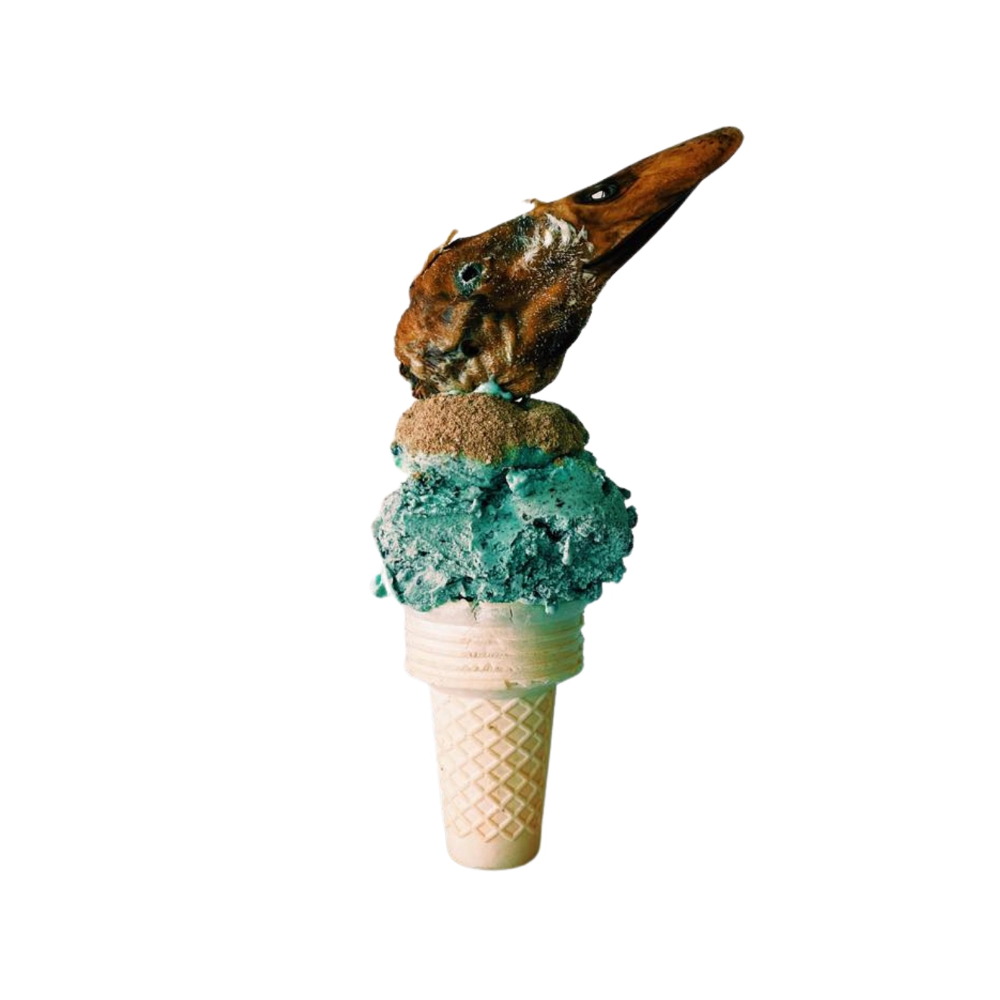 norm topping foie de canard