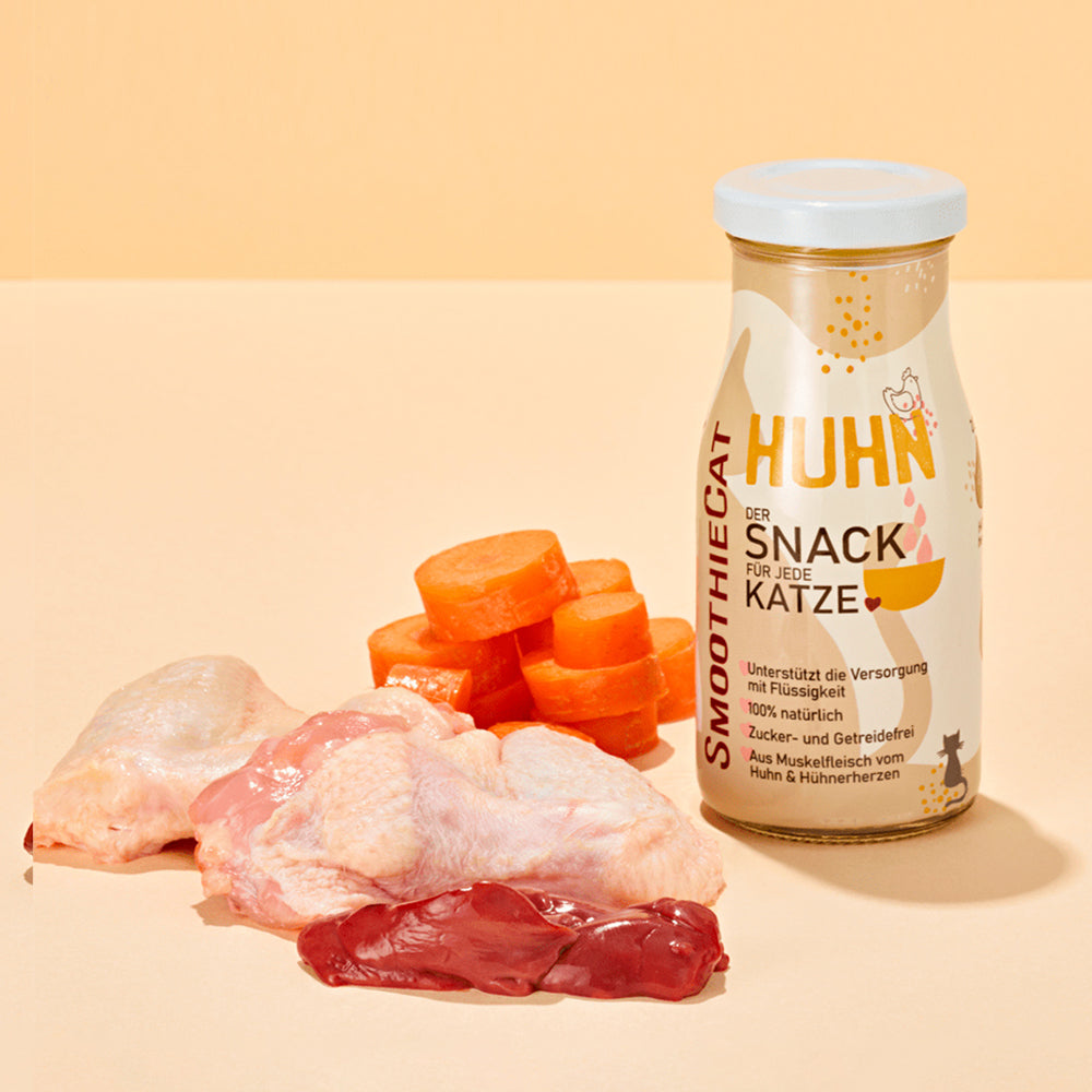 smoothies chat poulet smoothiecat