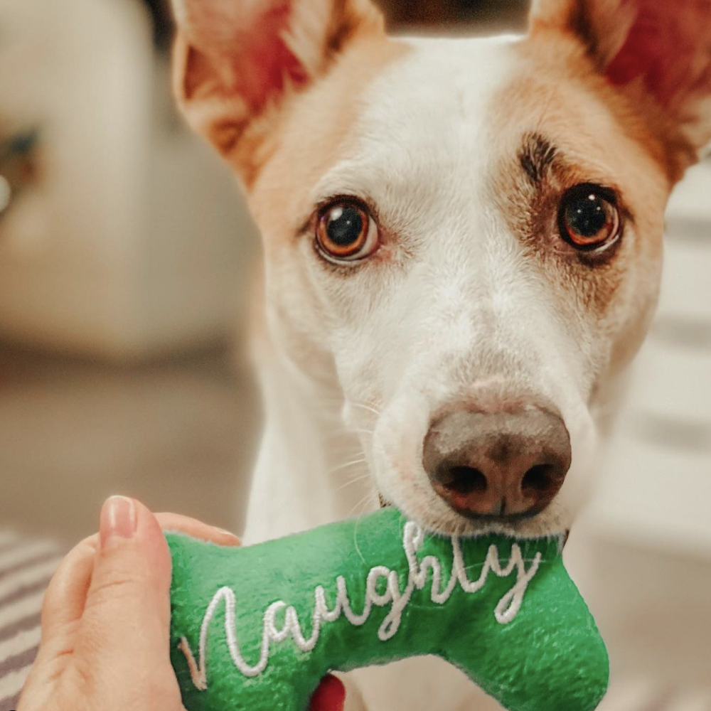 peluche botte de noel naughty
