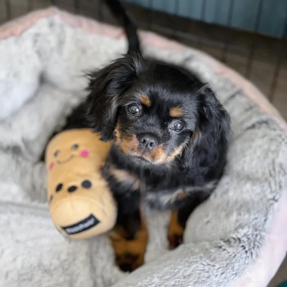 peluche de flair bubble tea pour chien