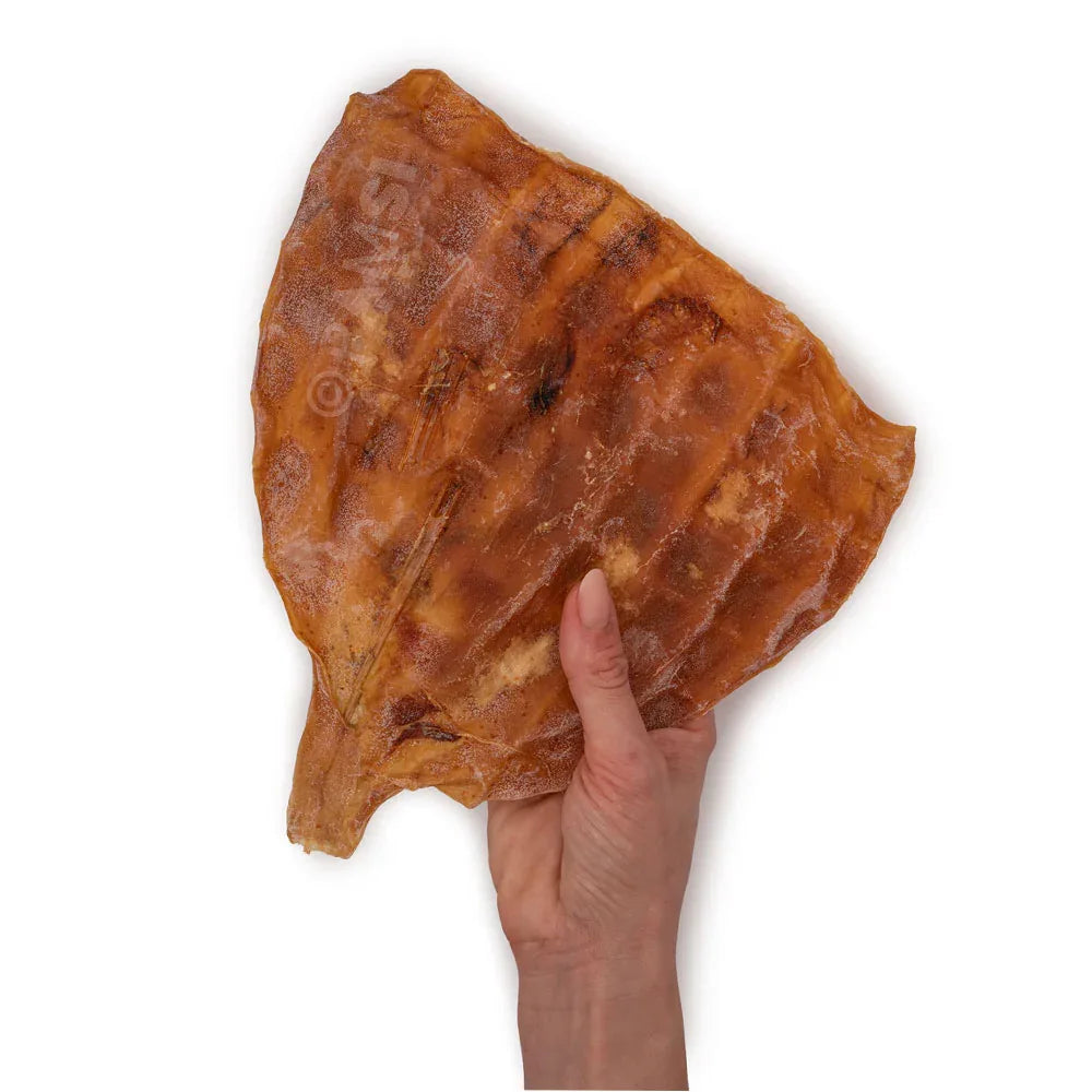 calamar geant pour chiens