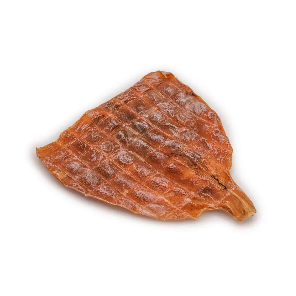 calamar xxl pour chiens