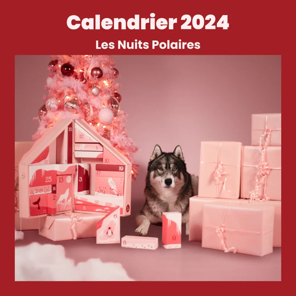 calendriers de l'avent chien 2024