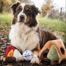 peluche de flair camping pour chien zippypaws