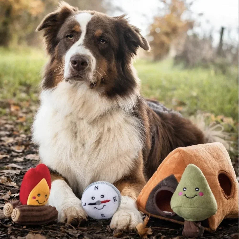 peluche de flair camping pour chien zippypaws