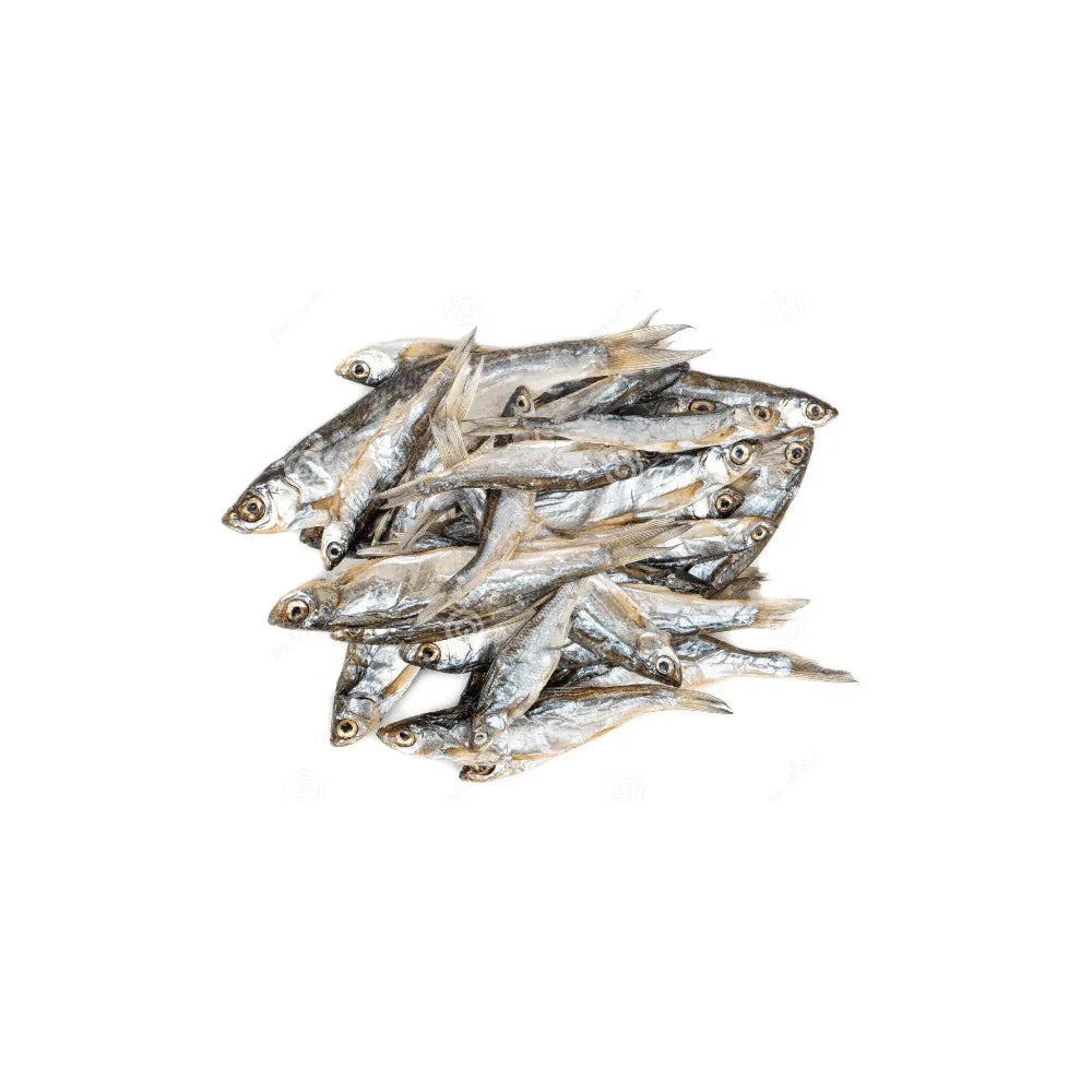 capelin petits poissons pour chien