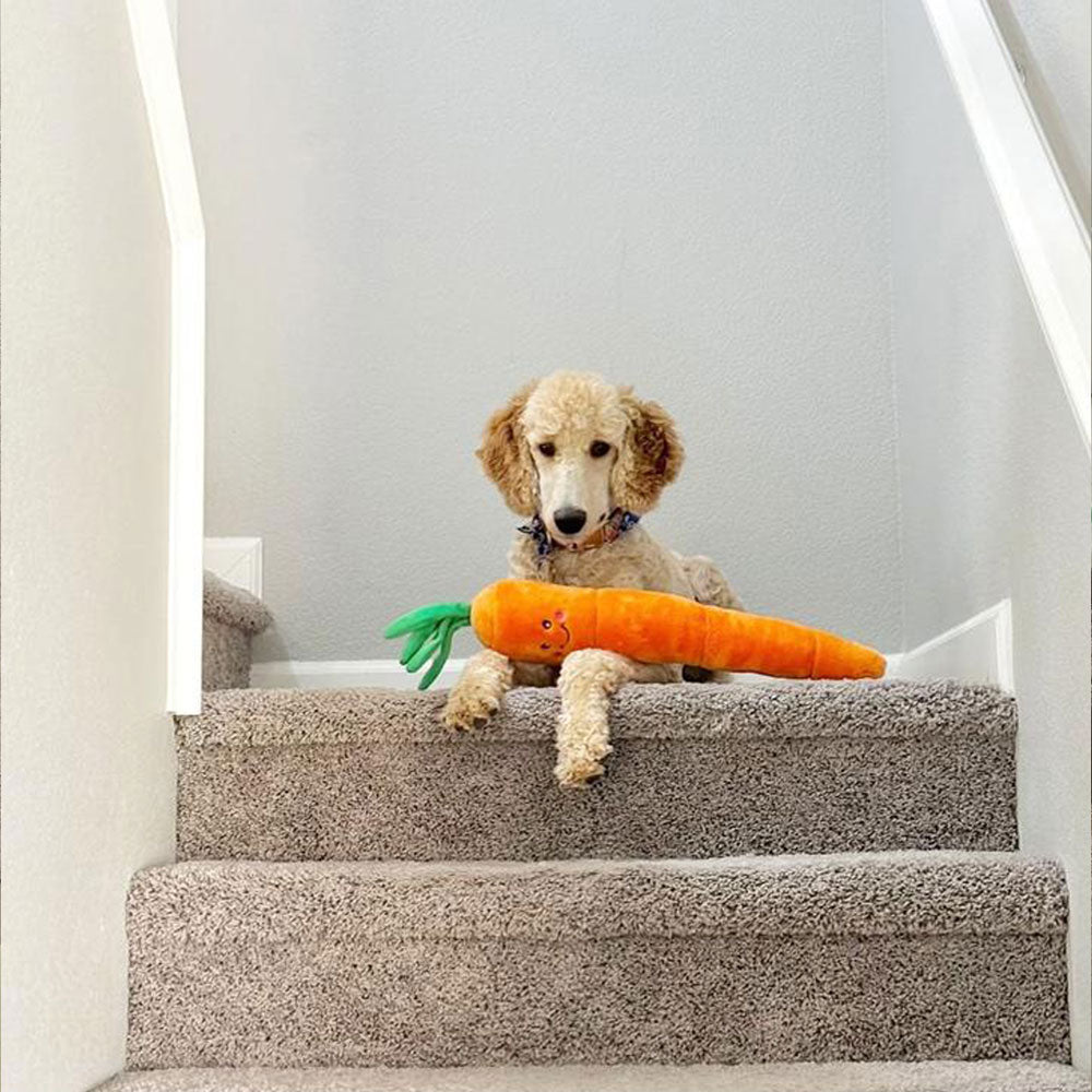 peluche pour chien carotte zippypaws