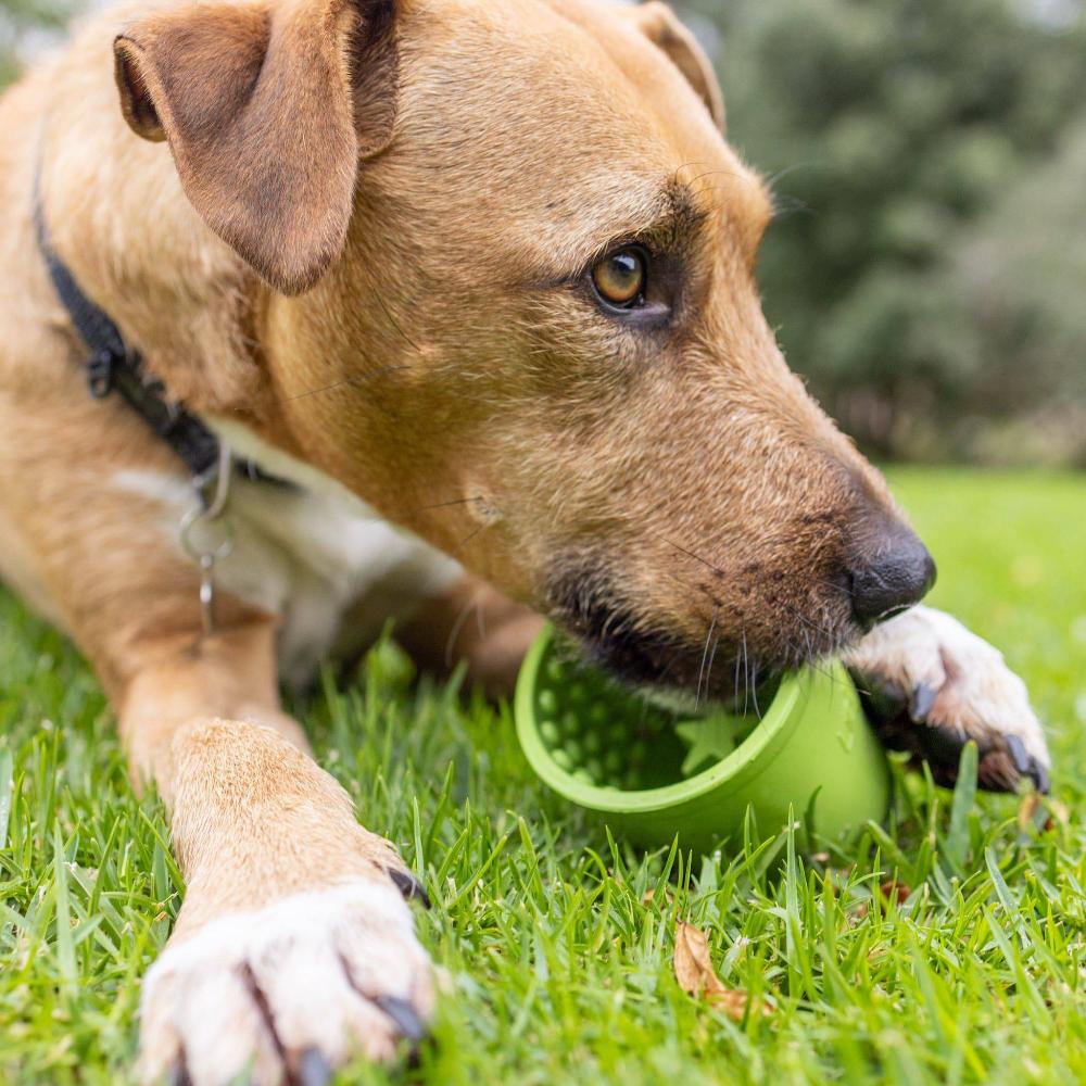 lickimat yoggie pot pour chiens
