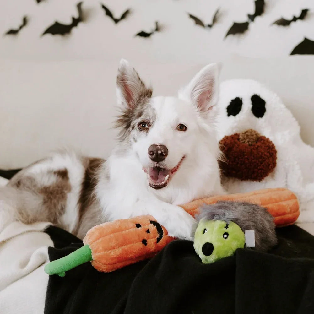 peluche pour chien citrouille jigglerz xxl
