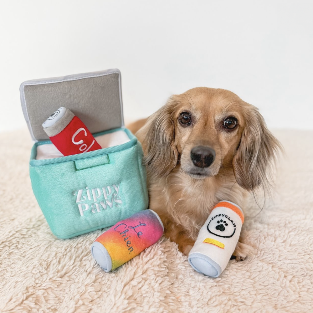 peluche de flair coffre a glace pour chien