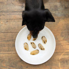 conserve canumi pour chien et chat moules vertes