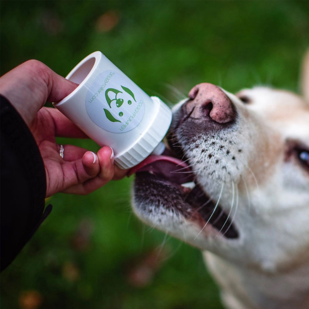 doggy pumper doggyroller