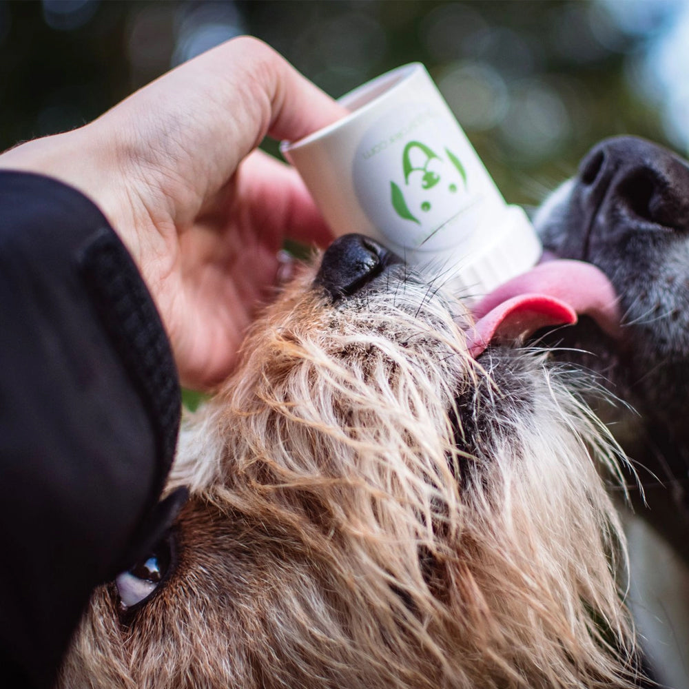 doggy pumper doggyroller