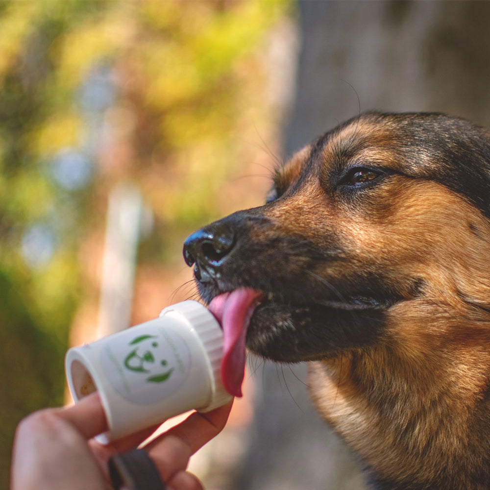 doggy pumper doggyroller