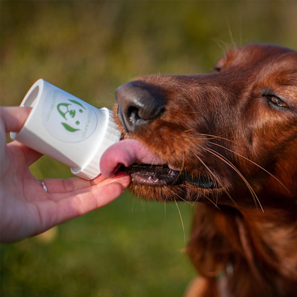 doggy pumper doggyroller