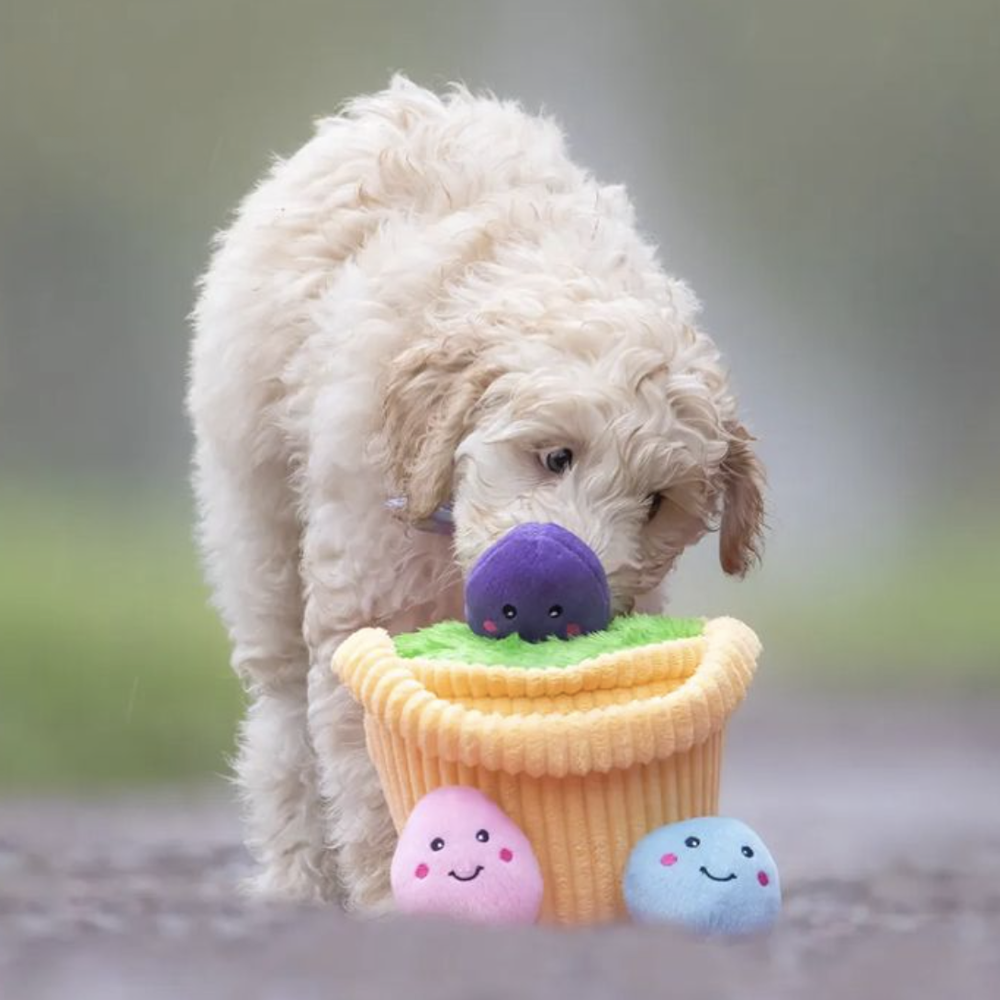 peluche de flair panier de paques zippypaws