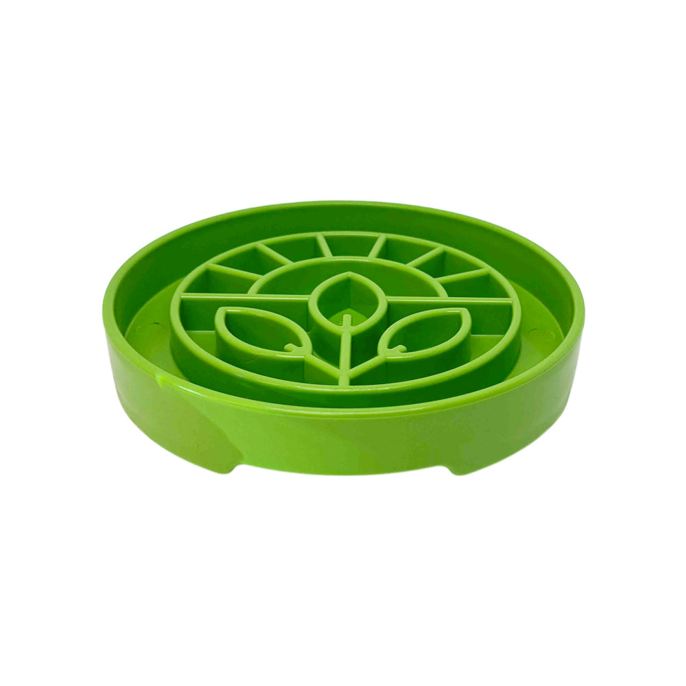 gamelle etray sodapup garden pour chien