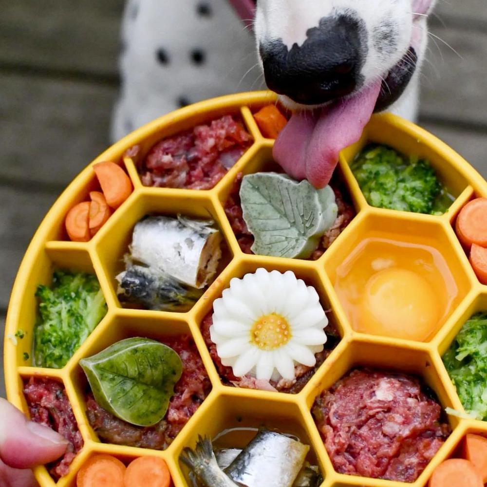 gamelle anti-glouton pour chiens honeycomb