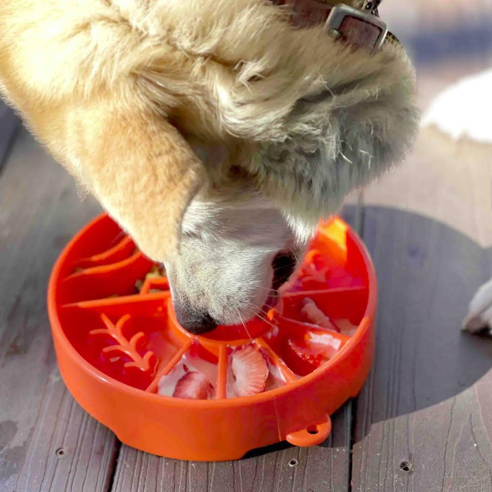 gamelle anti-glouton pour chiens