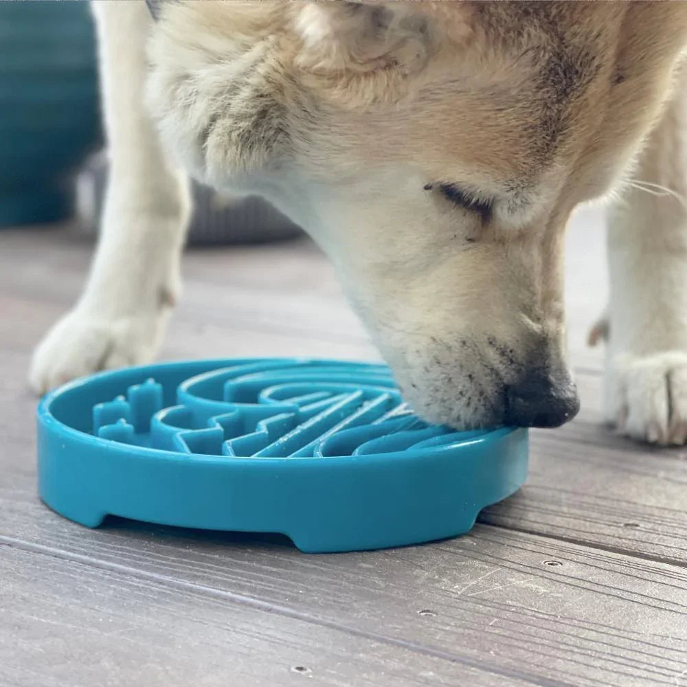 gamelle anti-glouton pour chien baja sodapup