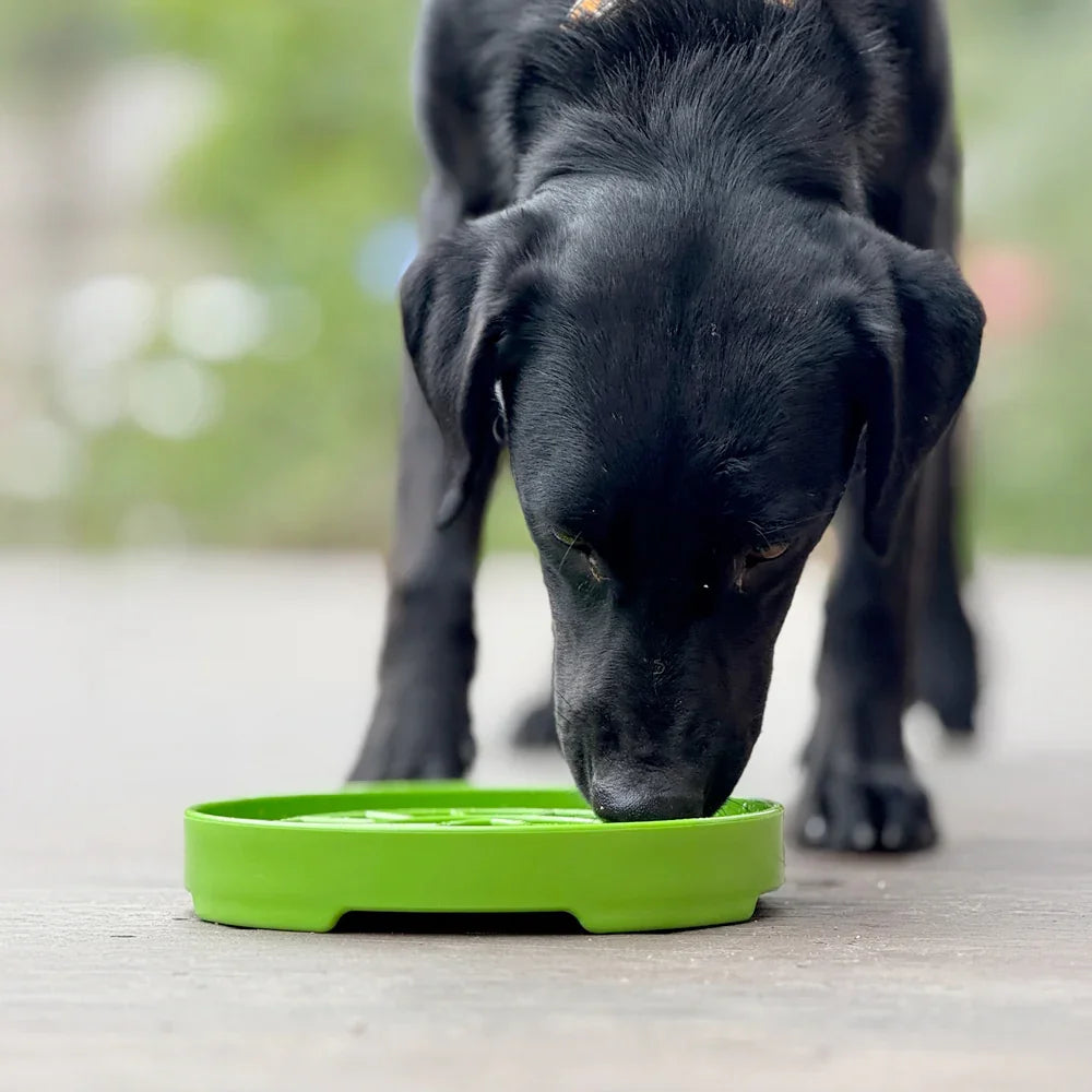 plateau gamelle anti-glouton pour chiens sodapup garden