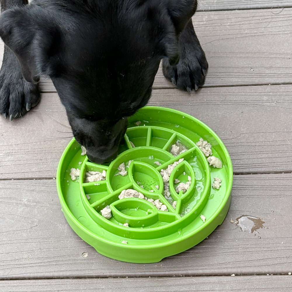 gamelle antiglouton pour chien sodapup etray garden