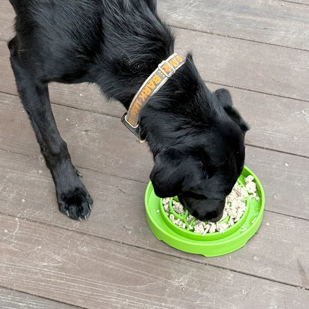 gamelle anti-glouton pour chien sodapup garden