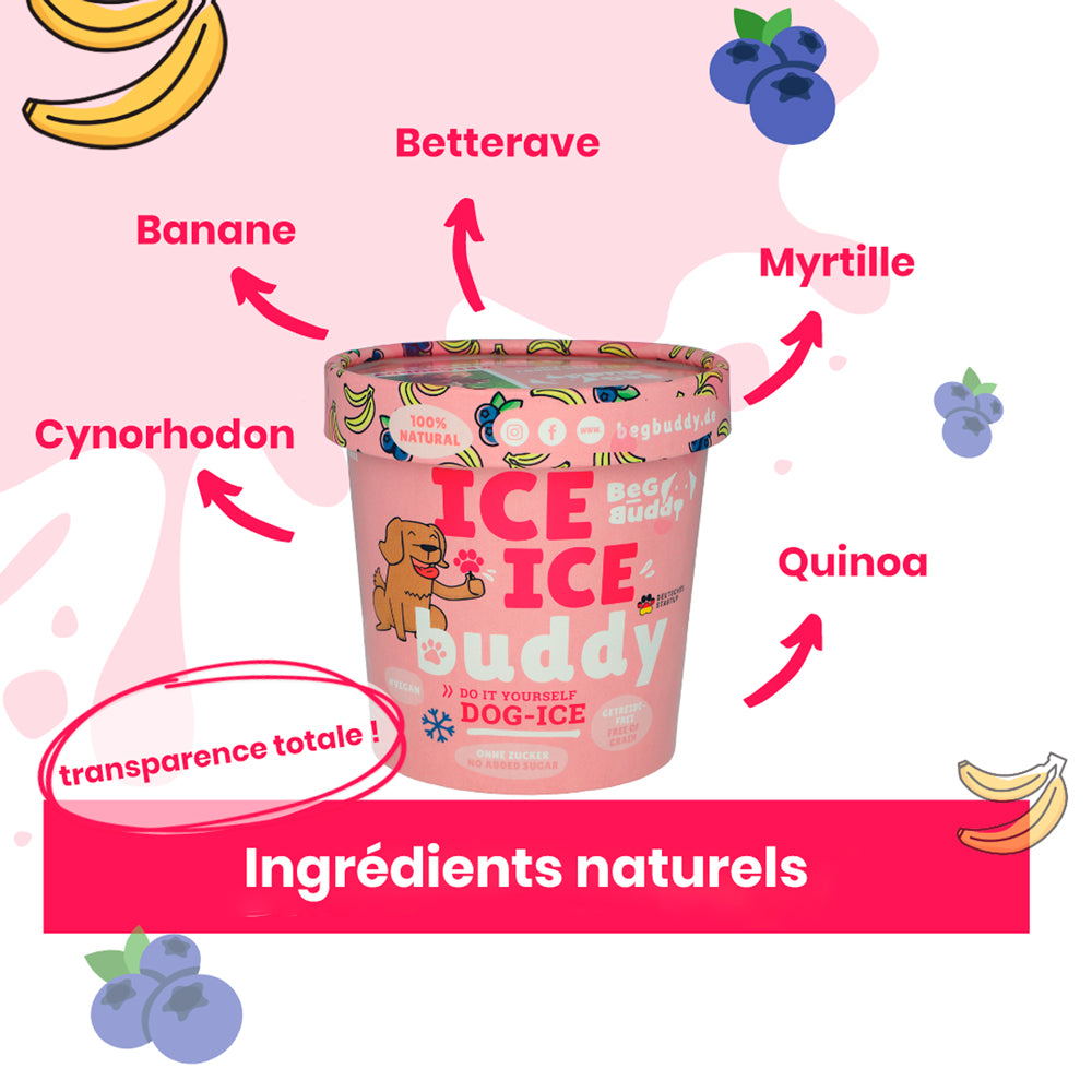 glace pour chien banane myrtille beg buddy