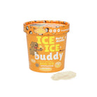 glace pour chien coco mangue beg buddy