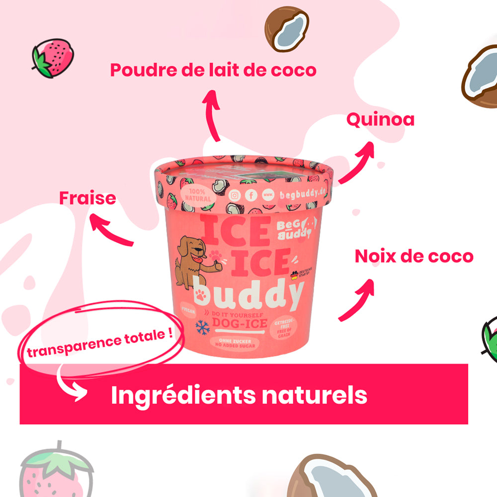 glace pour chien coco fraise beg buddy