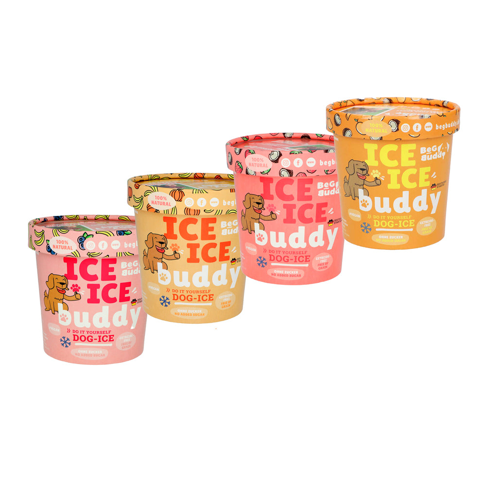 glace pour chien beg buddy