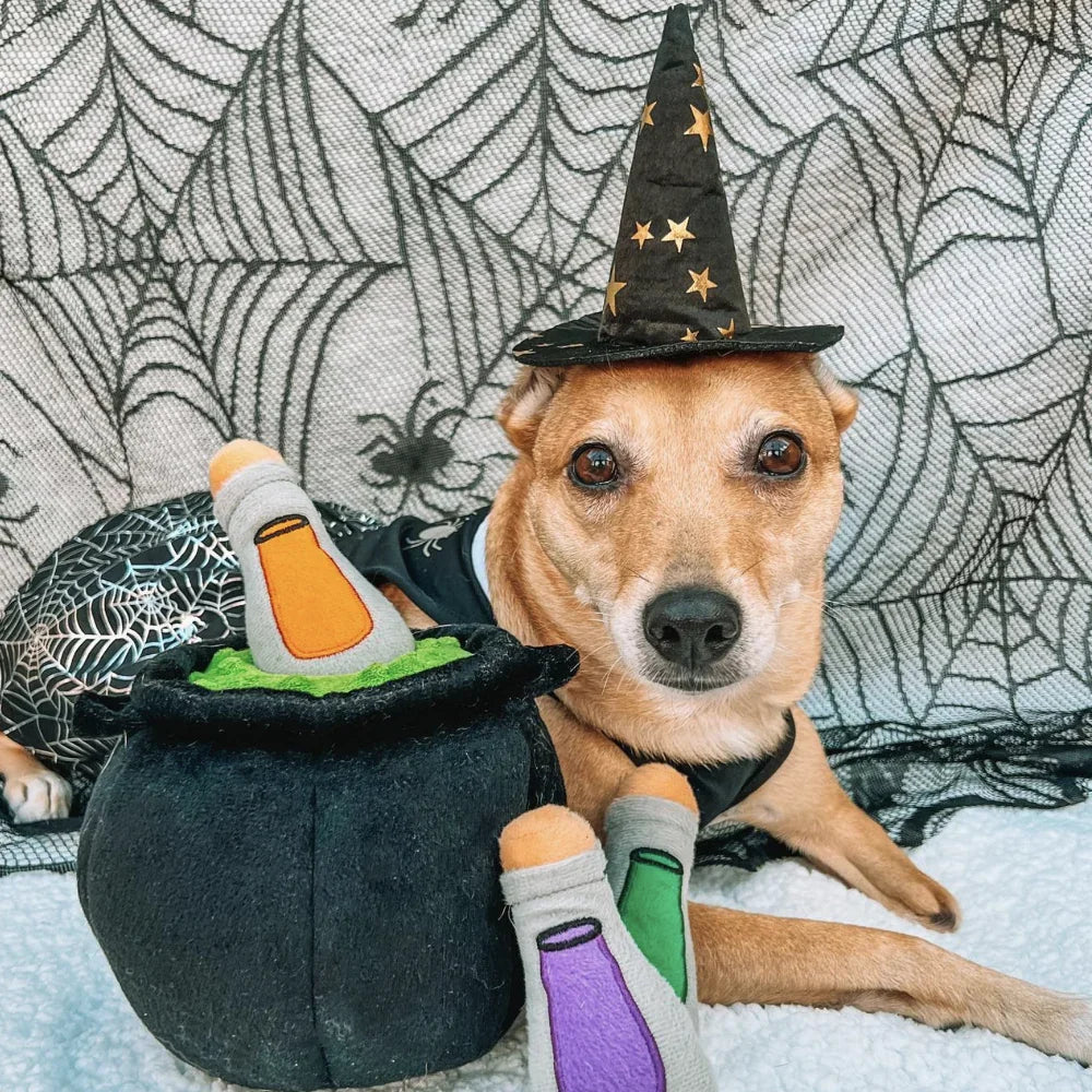 peluche de flair zippypaws halloween chaudron