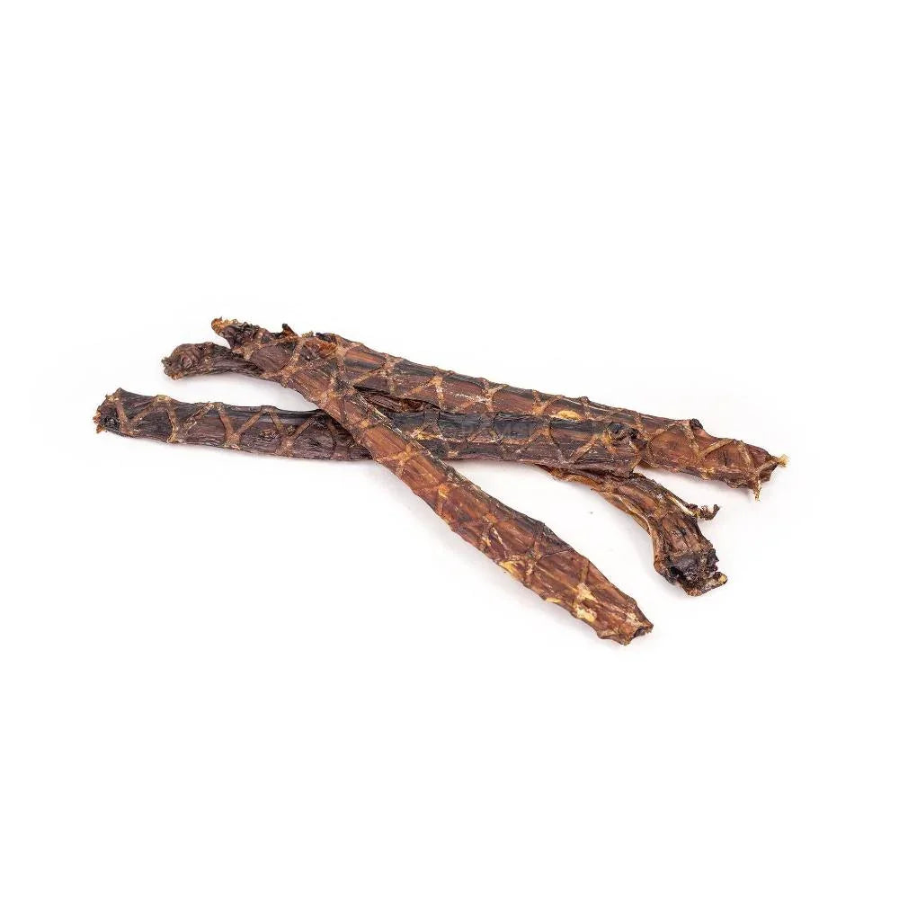 Herbière d'autruche pour chien