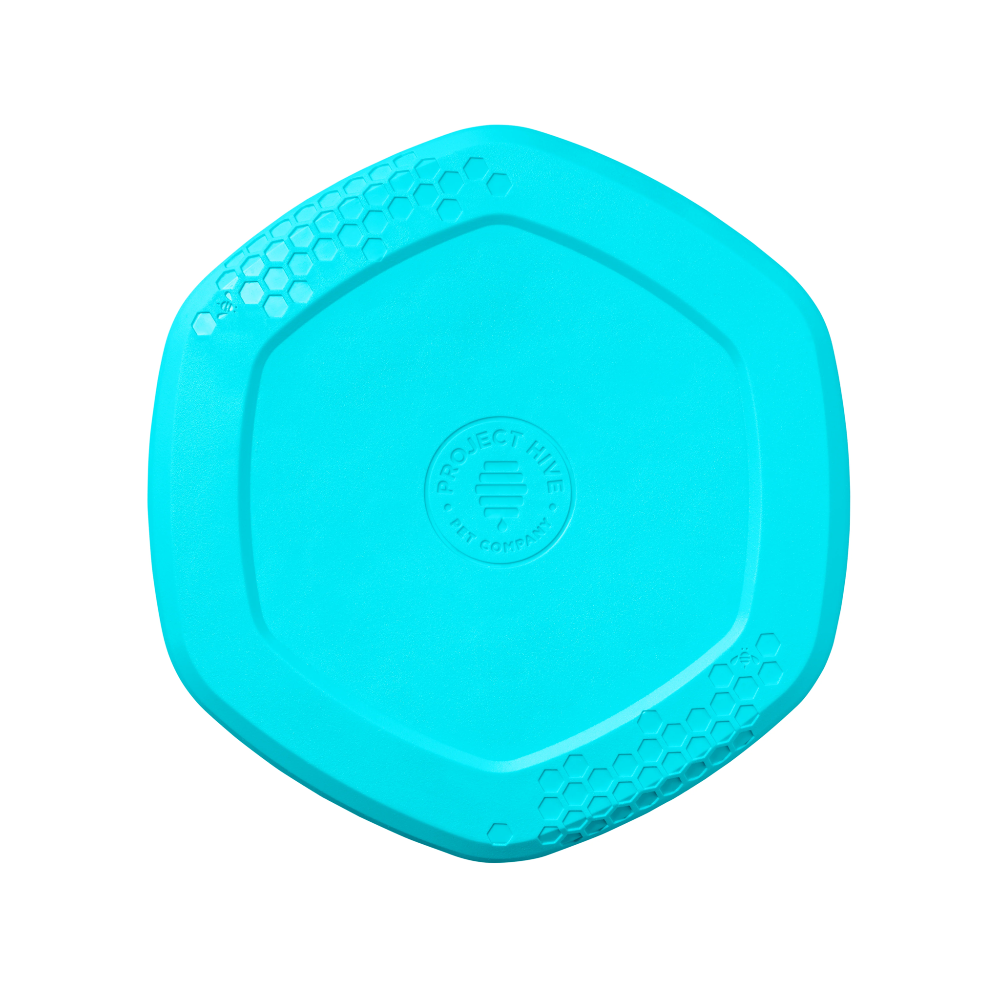 frisbee bleu pour chien jouet flottant