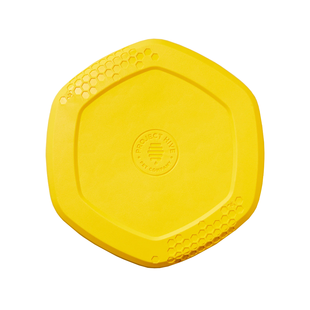 hive disc frisbee jouet flottant pour chien