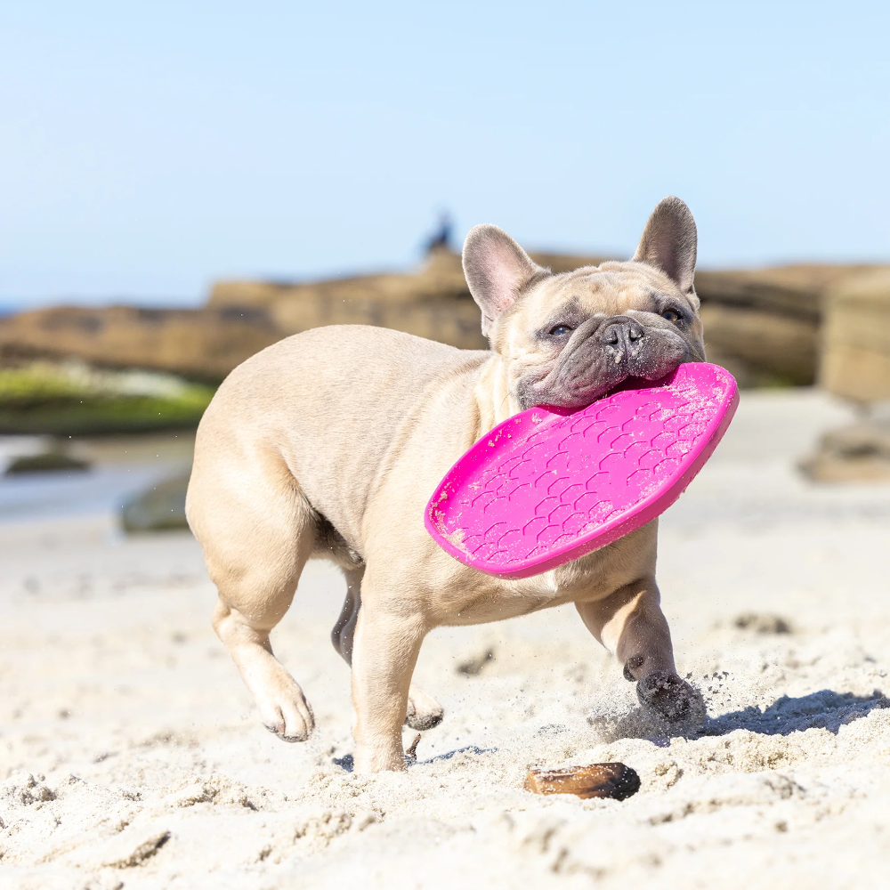 hive disc frisbee jouet flottant pour chien rose