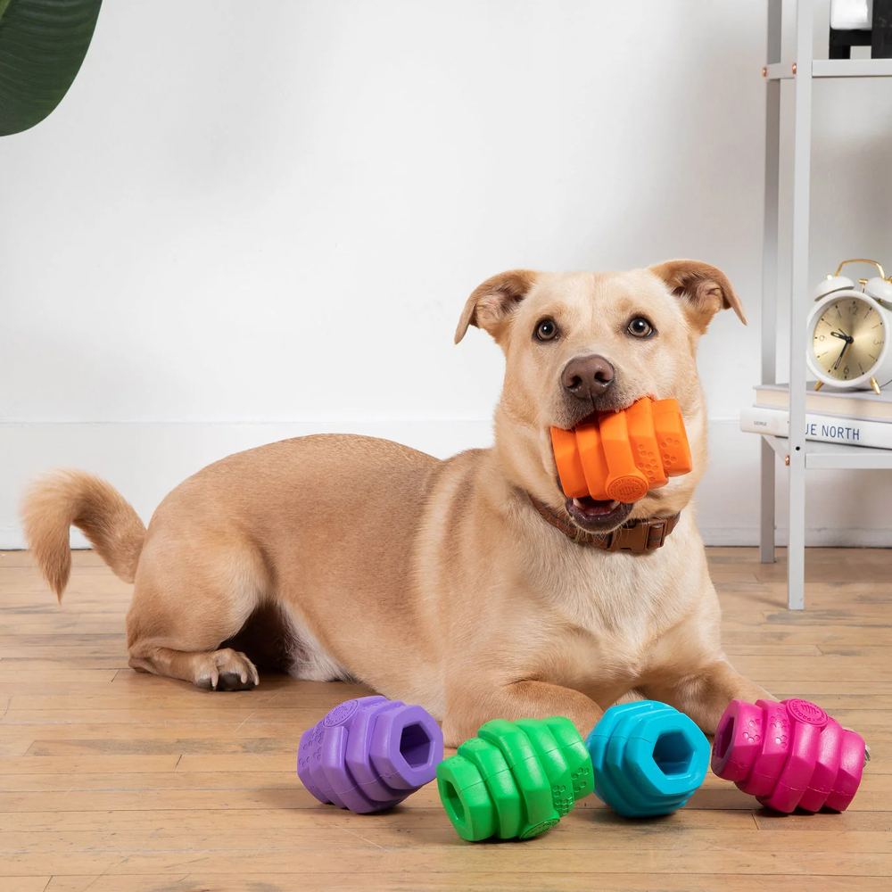 jouet pour chien hive chew scent toy chien