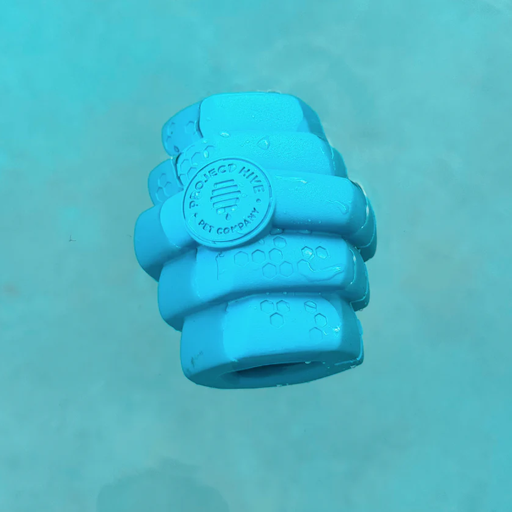 jouet flottant pour chien hive chew toy bleu