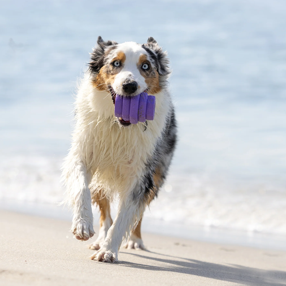 jouet pour chiens hive chew toy mauve