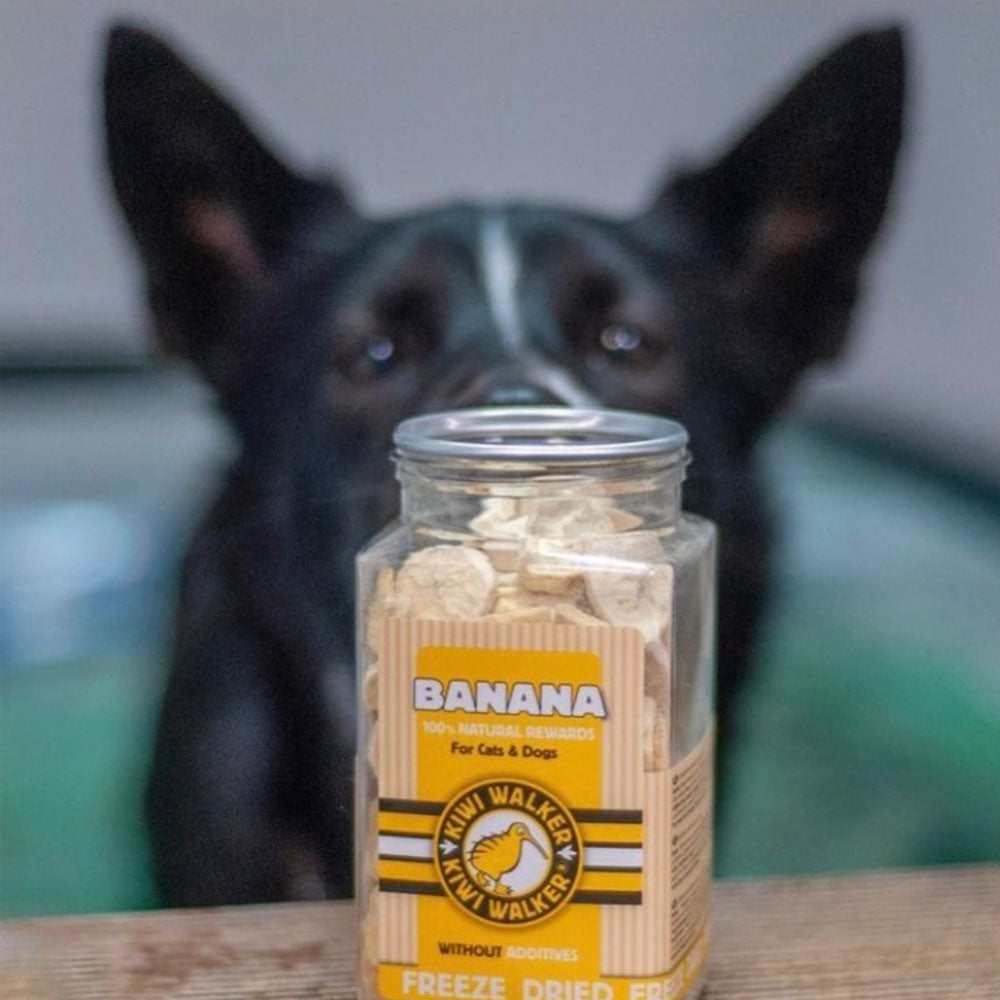kiwi walker banane pour chiens