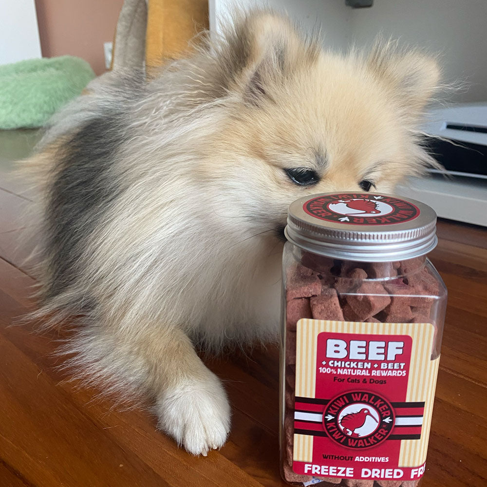 Kiwi Walker beef chicken beef for dogs