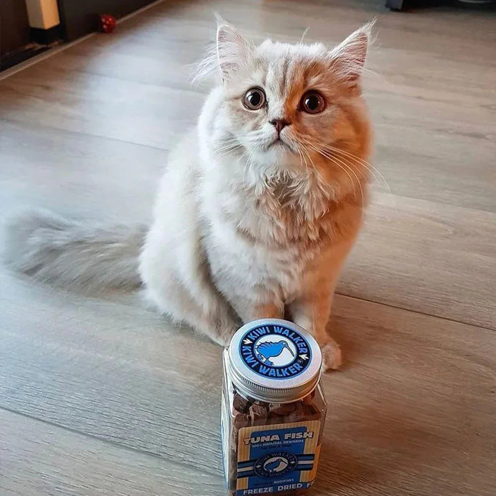 Kiwi Walker pour chats thon