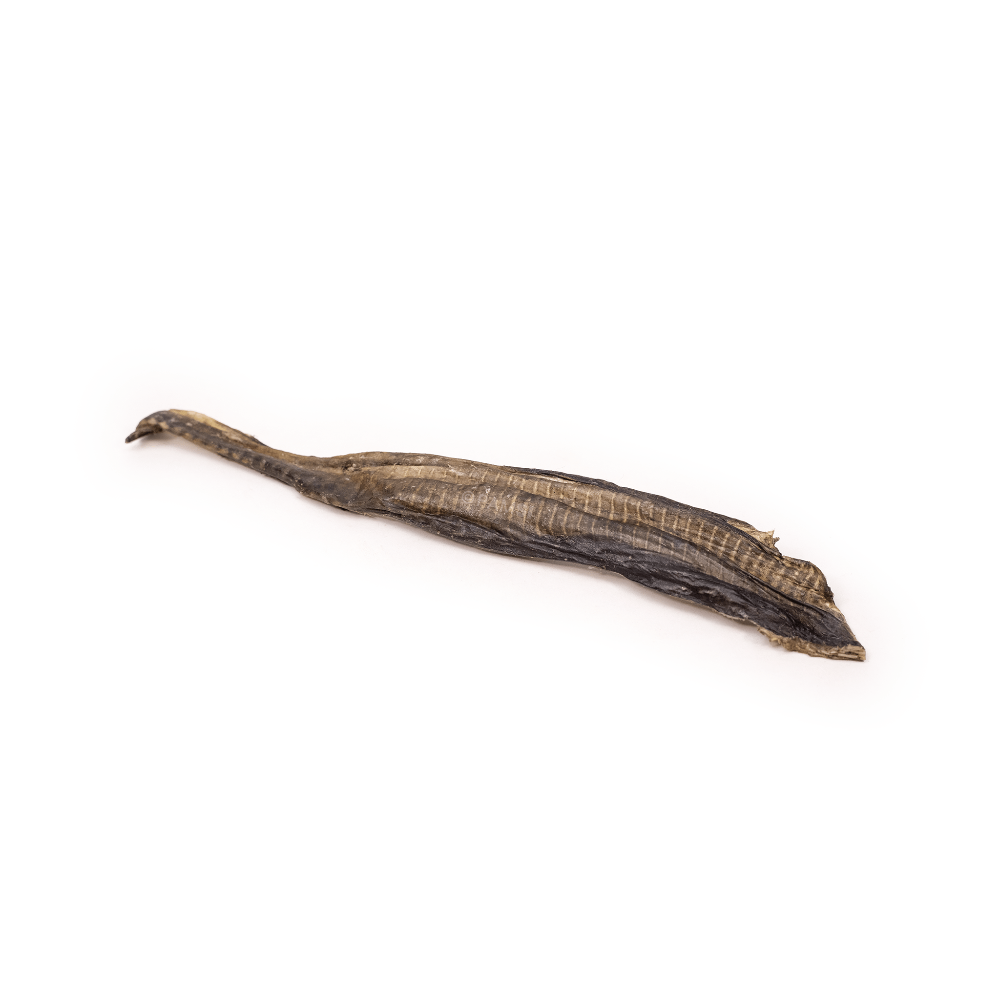 lanières de peau de poisson chat