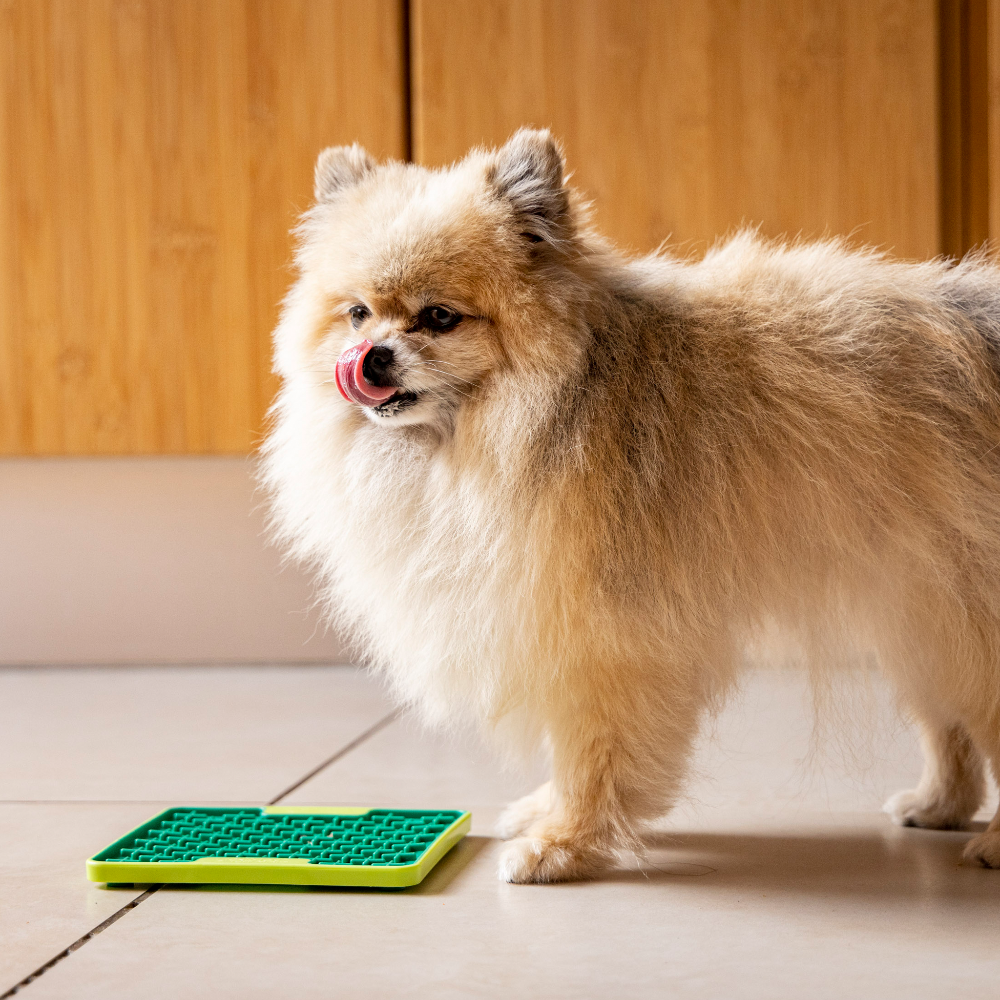 lickimat buddy tuff spitz